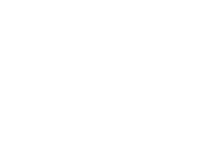 Patrycja-Bonsai-Clean